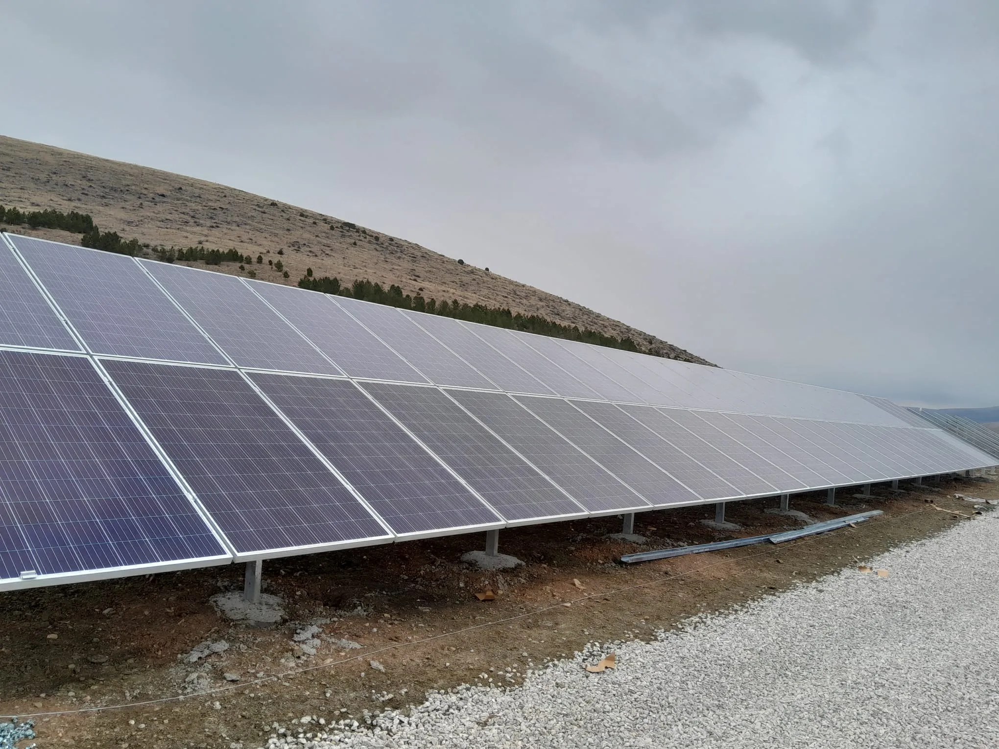 FORTİS ENERJİ