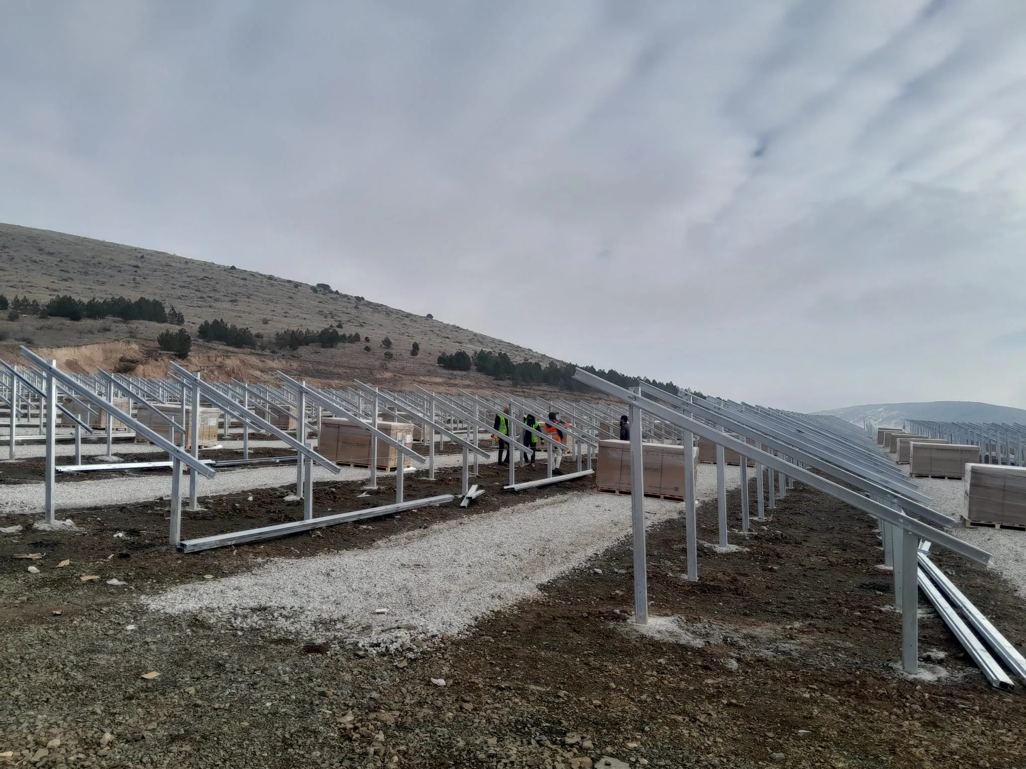 FORTİS ENERJİ