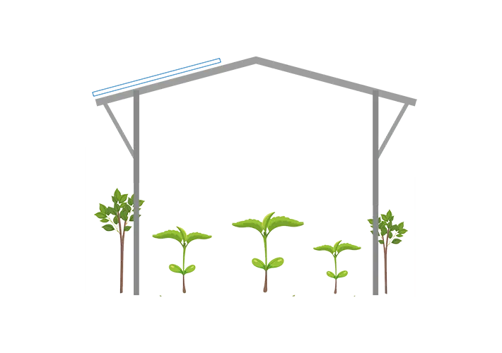 Sabit Agrivoltaik Konstrüksiyon Sistemi